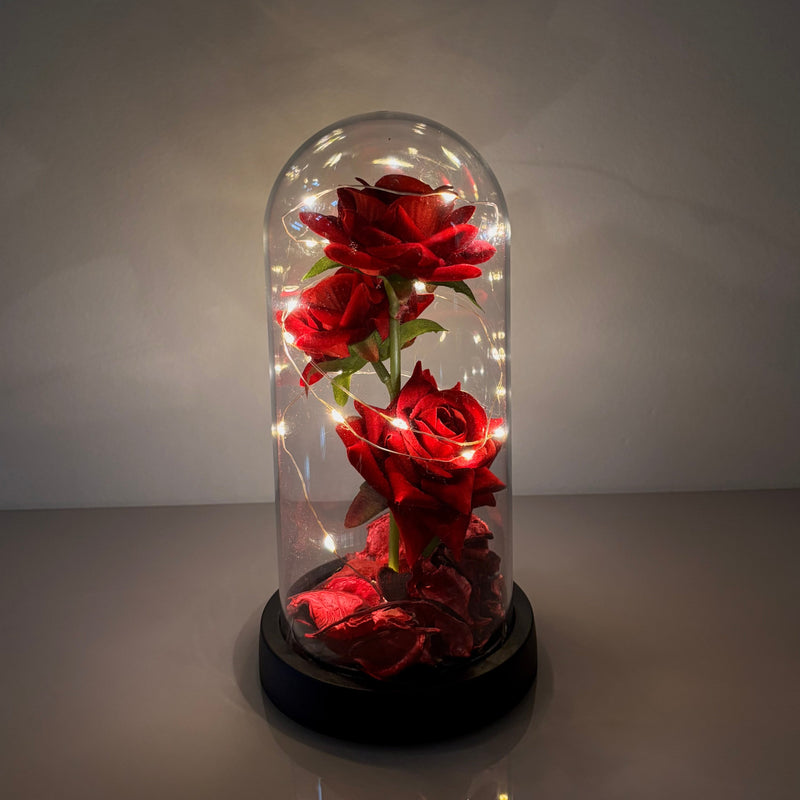 Rosa Eterna com Led